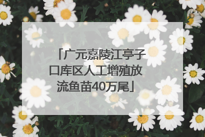 广元嘉陵江亭子口库区人工增殖放流鱼苗40万尾